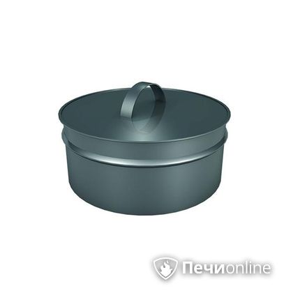 Заглушки Теплов и Сухов Заглушка ревизии Термо-Р 304 0.5 D250(150) в Хабаровске