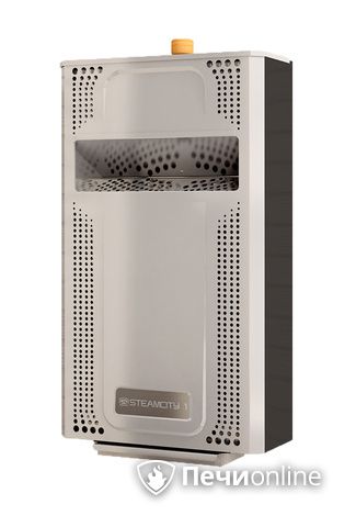 Электрическая печь Теплодар SteamCity-2 в Хабаровске