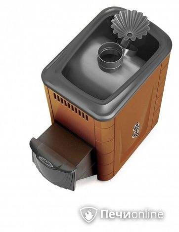 Дровяная банная печь TMF Ангара 2012 Inox ДА ЗК ТО терракота в Хабаровске