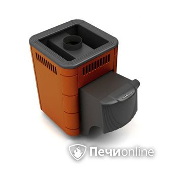 Дровяная банная печь TMF Оса Carbon терракота дверь антрацит в Хабаровске
