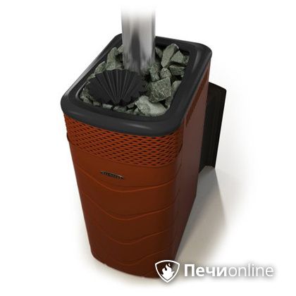 Дровяная банная печь TMF Гейзер XXL 2017 Inox Витра закрытая каменка терракота в Хабаровске